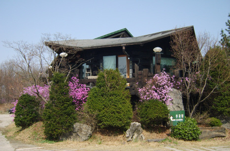 차우림 이미지