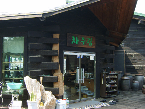차우림 이미지
