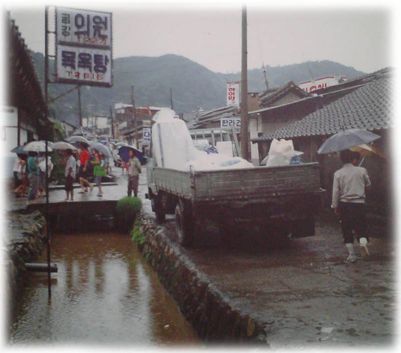 금강의원 이미지