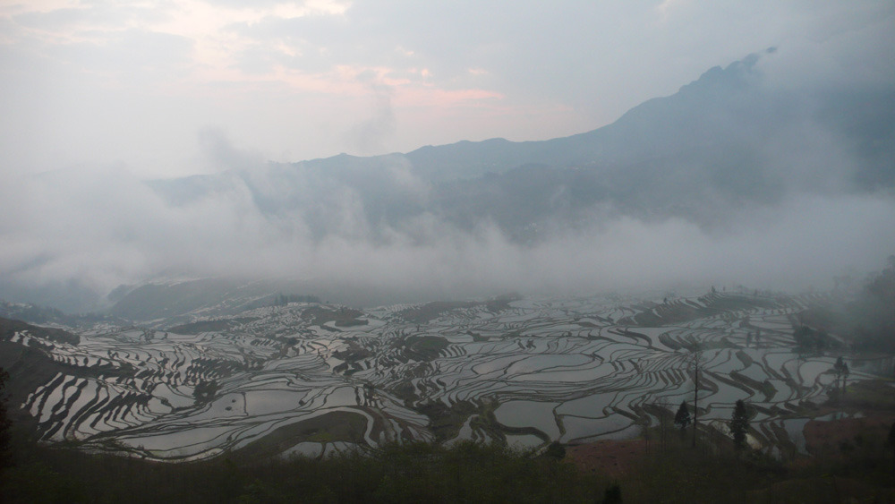 �̹����� Ŭ���ϸ� ������ ���� �� �ֽ��ϴ�.