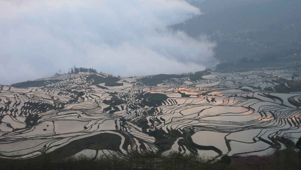 �̹����� Ŭ���ϸ� ������ ���� �� �ֽ��ϴ�.