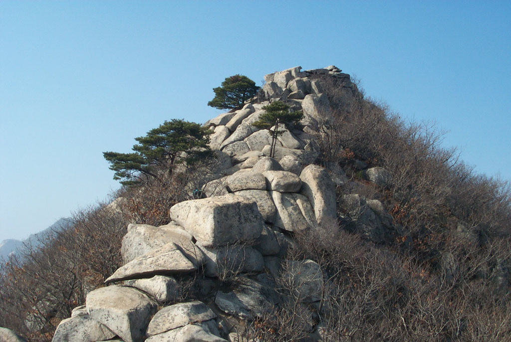 마니산 카페 이미지