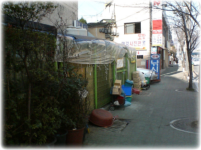 양푼이국수 이미지