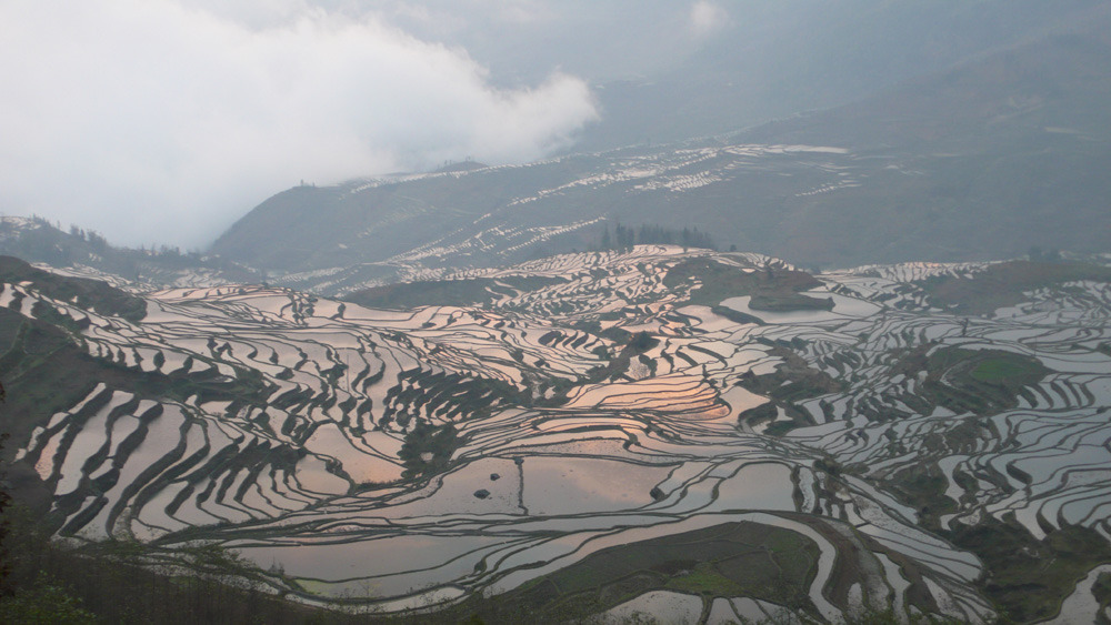 �̹����� Ŭ���ϸ� ������ ���� �� �ֽ��ϴ�.