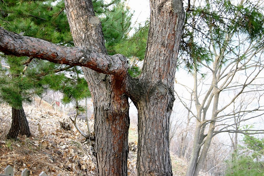 주식회사 청풍 이미지