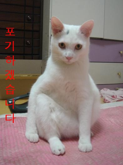 우오 이미지