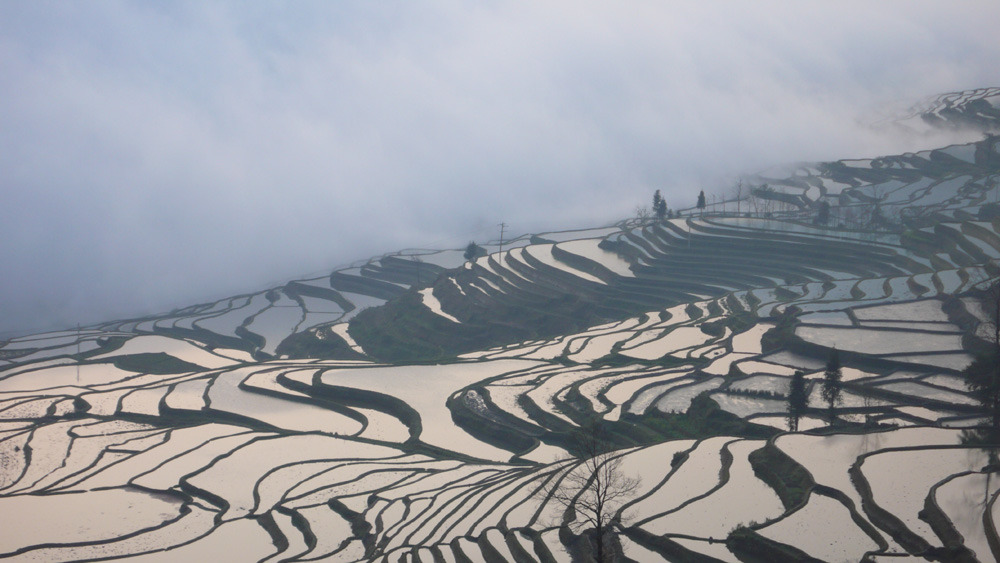 �̹����� Ŭ���ϸ� ������ ���� �� �ֽ��ϴ�.