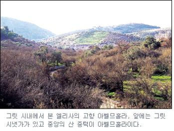 그릿시냇가 이미지